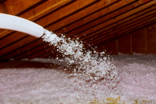 Best Spray Foam Insulation in Gramercy, LA