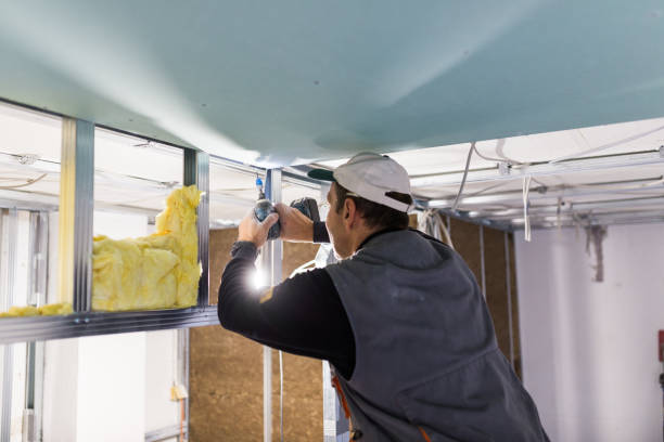 Best Commercial Insulation in Gramercy, LA