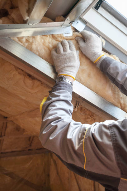 Best Energy Efficiency Insulation in Gramercy, LA