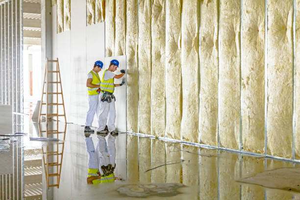Best Commercial Insulation in Gramercy, LA